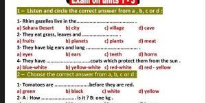 مراجعات نهائية.. امتحان لغة انجليزية على 3 وحدات لـ الصف الرابع الابتدائي ترم اول