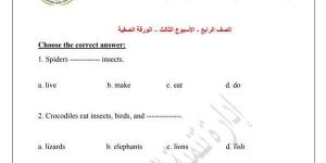 مراجعات نهائية.. اسئلة تقييم الأسبوعين الثالث والرابع لغة انجليزية الصف الرابع الابتدائي