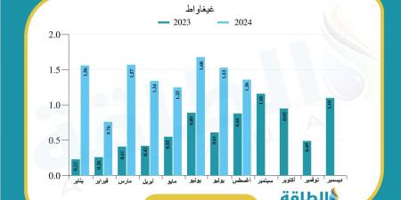 أكثر الدول العربية استيرادًا للألواح الشمسية الصينية في 2024