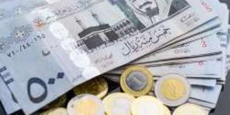 سعر الريال السعودي أمام الجنيه المصري اليوم الثلاثاء 8 أكتوبر 2024