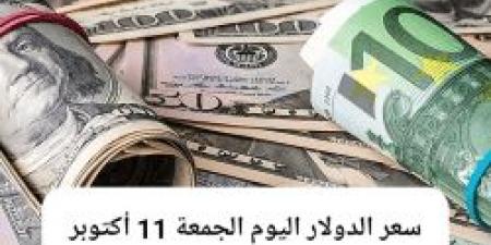 الجنيه المصري يحافظ على استقراره مقابل سعر الدولار اليوم الجمعة 11 - 10 - 2024