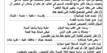 تفاصيل اختبار شهر أكتوبر للصف السادس الإبتدائي لغة عربية 2024-2025