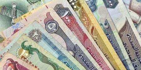 أسعار العملات العربية اليوم 14-10-2024.. سعر الريال السعودي 12.91 جنيه للبيع