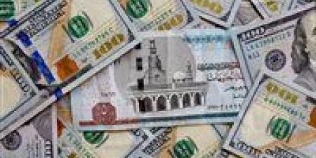 سعر الدولار اليوم في مصر الأربعاء 23 أكتوبر 2024