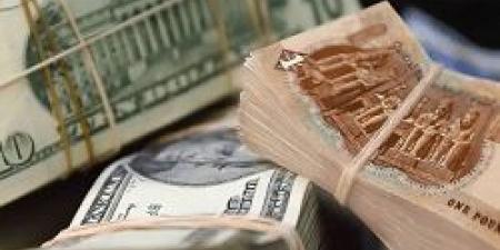 أعلى سعر بـ 48.80 .. ارتفاع طفيف بسعر الدولار اليوم الأربعاء 23 أكتوبر 2024