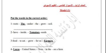 مراجعات نهائية.. اسئلة تقييم الأسبوع الخامس لغة انجليزية الصف الرابع الابتدائي