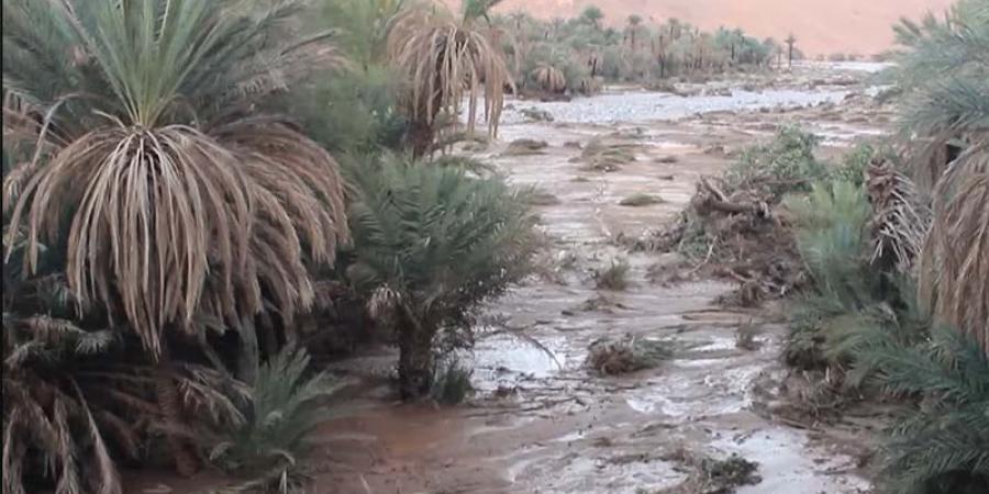 مصرع راعي غنم غرقا في إقليم طاطا