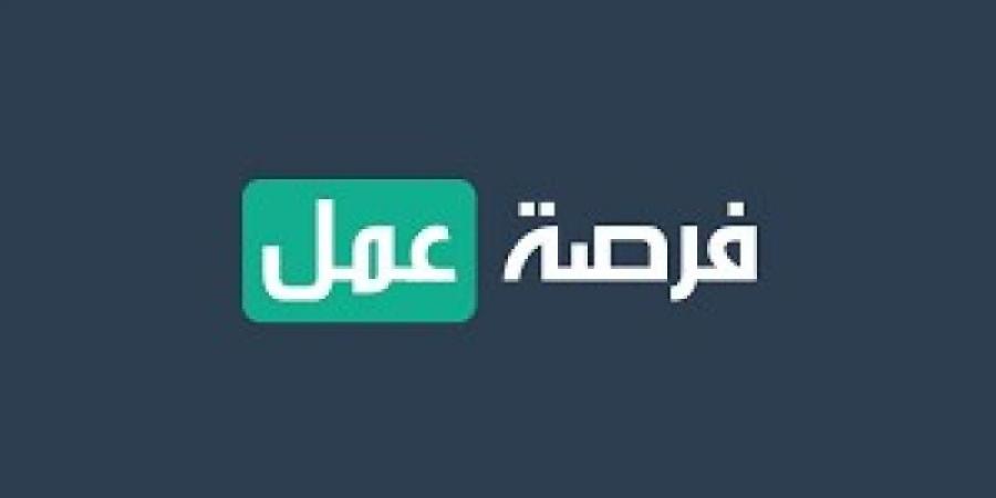 فرص لخريجي جامعة عين شمس في الملتقى التوظيفي.. تفاصيل