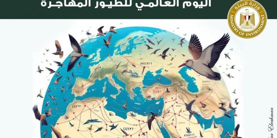 وزيرة البيئة: مصر قبلة الطيور المهاجرة ومحطة هامة للتكاثر والغذاء