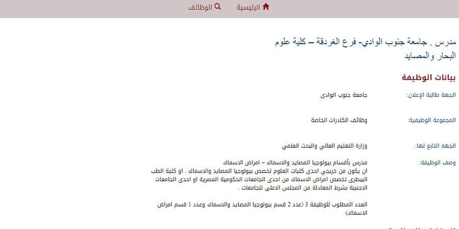 باقي 10 أيام.. جامعة جنوب الوادي فرع الغردقة تعلن عن وظائف أعضاء هيئة تدريس جديدة.. وظيفة جامعة