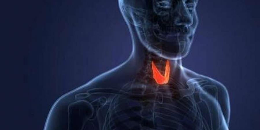 هيئة الدواء تكشف صدمة عن اختلال هرمون الغدة الدرقية.. يسبب هذه الأمراض