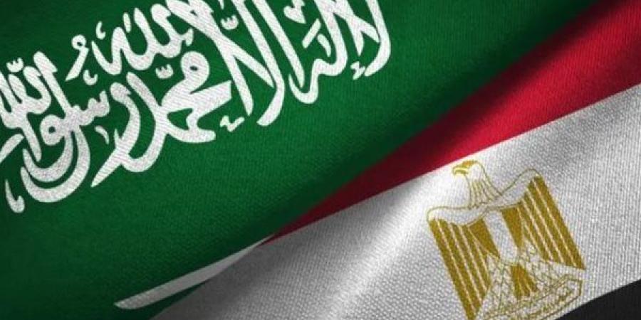 خبير سياسي: العلاقات المصرية السعودية لها أهمية كبيرة للبلدين وللمنطقة العربية ككل