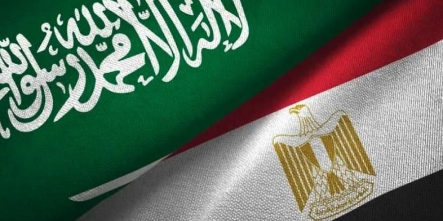 محلل سياسي: العلاقات بين مصر والسعودية تتمتع بتاريخ عريق