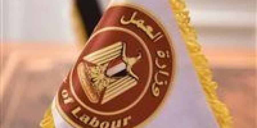 وظائف للشباب.. 5548 فرصة عمل جديدة في 84 شركة بـ11 محافظة