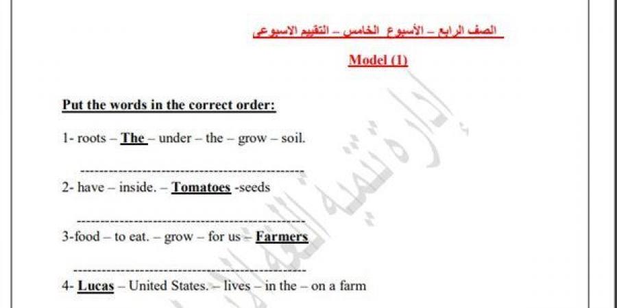 مراجعات نهائية.. اسئلة تقييم الأسبوع الخامس لغة انجليزية الصف الرابع الابتدائي