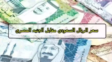 ياريح عند النبي.. سعر الريال مقابل الجنيه المصري اليوم الاحد 24 مارس