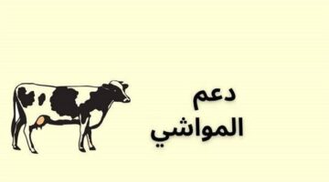 وزارة البيئة والمياه والزراعة السعودية.. توضح خطوات التسجيل في دعم المواشي