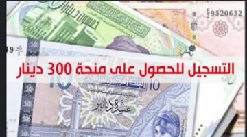 منحة 300 دينار في تونس.. خطوات التسجيل في المنحة والشروط المطلوبة