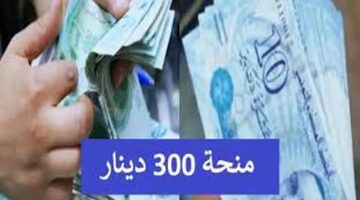 حقيقة زيادة منحة تونس 300 دينار للأسر المستحقة وأهم شروط الحصول عليها