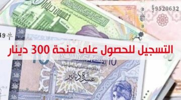 منحة ال 300 دينار … تعرف علي خطوات التسجيل في المنحة التونسية والشروط المطلوبة