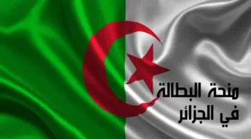 كيفية التسجيل في منحة البطالة بالجزائر 2024.. وهذه هي الشروط 