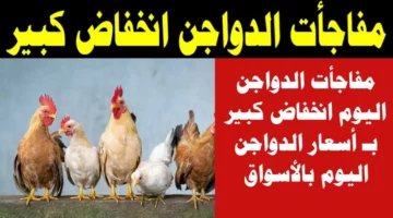 خزني دلوقتي قبل العيد ميخلص.. اسعار الدواجن والبيض اليوم الخميس 11 ابريل