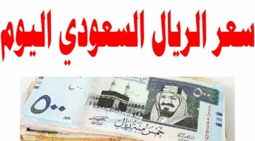 تعالى شوف سعره اتغير ازاى فى يوم وليله.. سعر صرف الريال السعودي في البنوك المصرية