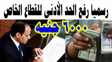 حتى 6000 جنيه.. مصر تعلن رفع الحد الأدنى لأجور موظفي القطاع الخاص