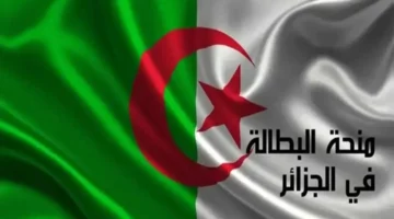خطوات التسجيل في منحة البطالة بالجزائر 2024 إلكترونيًا minha anem dz