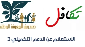 الدعم التكميلي في الأردن 2024.. خطوات التسجيل بالهوية الوطنية واهم الشروط المطلوبة عبر تكافل