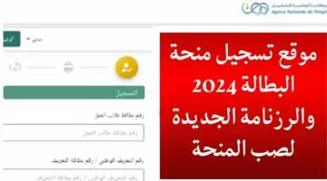 وكالة التشغيل توضح خطوات التسجيل في منحة البطالة 2024 anem minha dz
