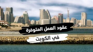 فرصة عمل بالكويت لا تعوض.. شروط وخطوات التقديم على الوظائف وعقود عمل دولة الكويت لكل التخصصات