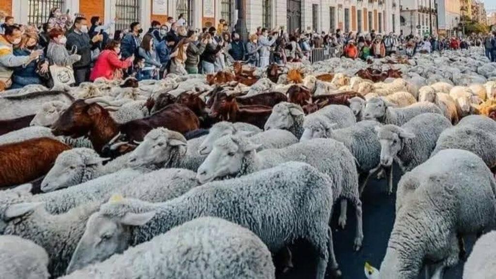 فلكيًا.. موعد إجازة عيد الأضحى المبارك 2024 في تونس