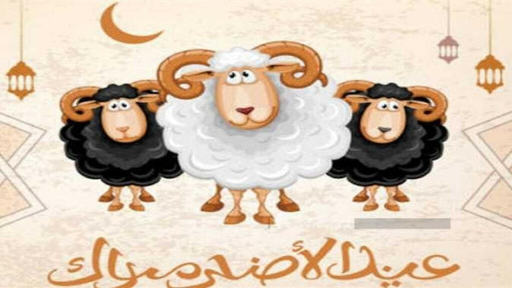 "خطط للإجازة".. موعد عطلة عيد الأضحى المبارك في مصر