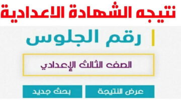 “حمل نتيجتك”.. لينك نتيجة الشهادة الإعدادية الجيزة 2024 الترم الثاني