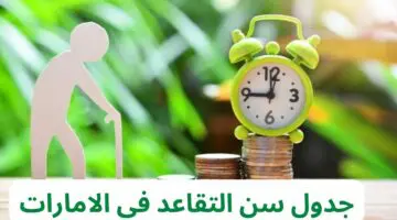 تحديد سن التقاعد داخل مؤسسات الإمارات للأجانب والمواطنين.. اعرف التفاصيل