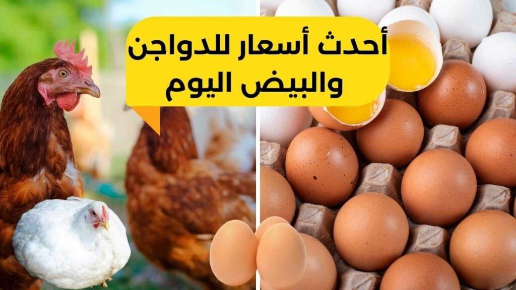 أسعار الدواجن والبيض اليوم