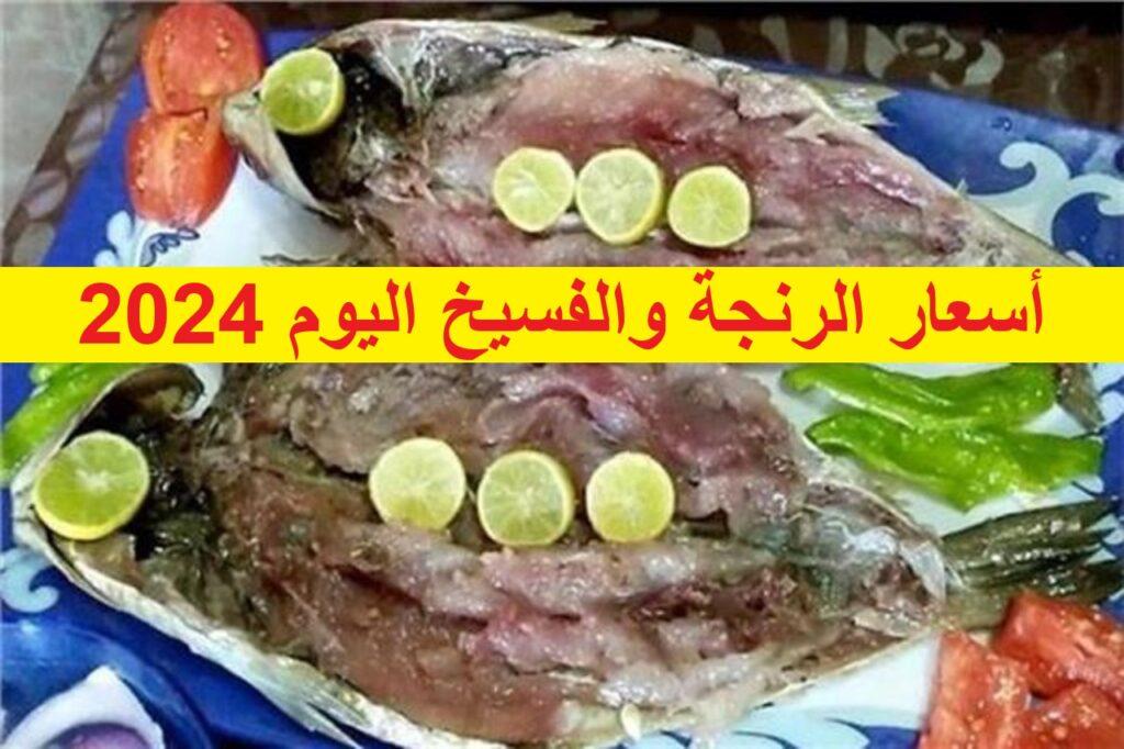 أسعار الرنجة والفسيخ اليوم 2024