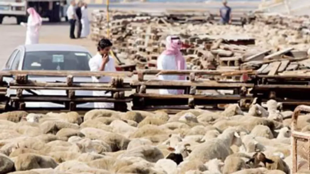 إنخفاض أسعار الأضاحي