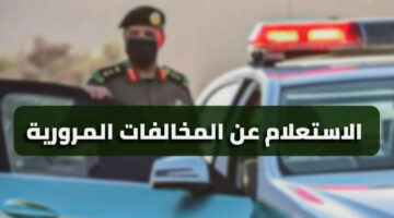 استعلم بالرقم المدني.. رابط الاستعلام عن المخالفات المرورية في الكويت