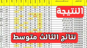 شوف نتيجتك! لينك نتائج الثالث متوسط الدور الأول 2024 جميع محافظات العراق عبر موقع وزارة التربية epedu.gov.iq
