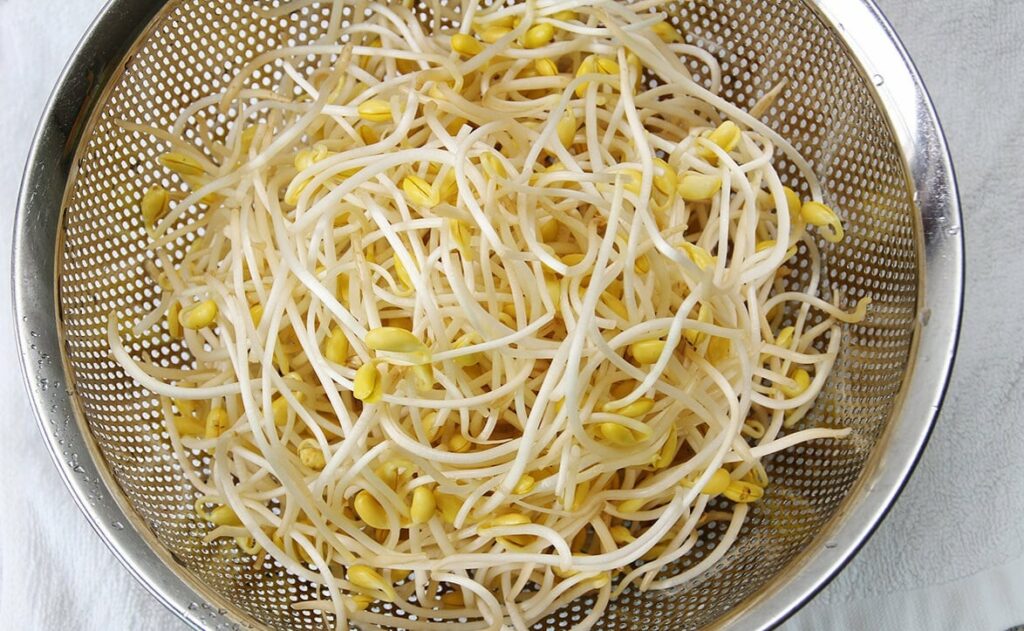 طريقة عمل الحلبة المنبتة بالصور