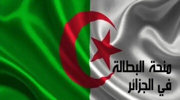 “بالخطوات والتفاصيل” .. رابط التسجيل في منحة البطالة بالجزائر والشروط اللازمة