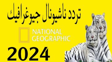 قناة المغامرة والأثارة.. تردد ناشيونال جيوغرافيك على كافة الأقمار الصناعية بتقنية ال HD
