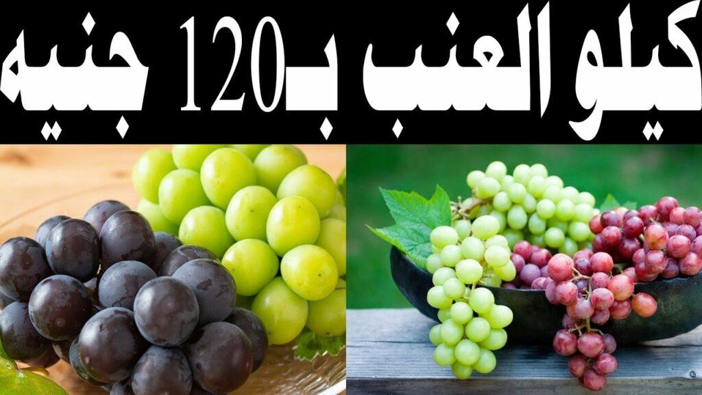 نقيب الفلاحين يعلن عن خفض أسعار العنب