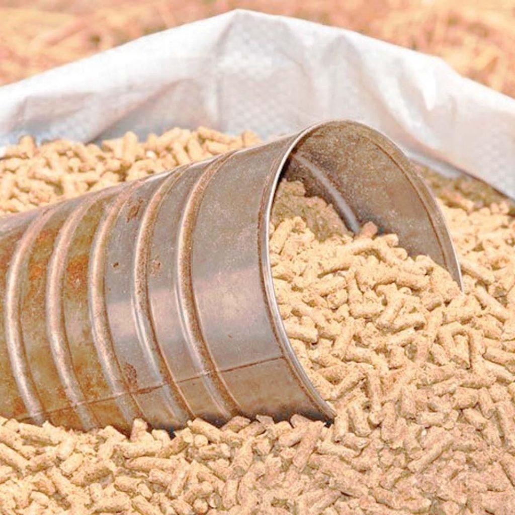 أسعار الأعلاف اليوم