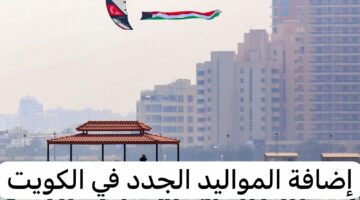 إضافة مولود جديد لبطاقة التموين الكويتية.. كل التفاصيل والإجراءات المطلوبة