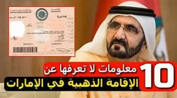 عااااجل إقامات ذهبية وسنوية لطلاب الجامعات في الإمارات تصل إلى 10 سنوات