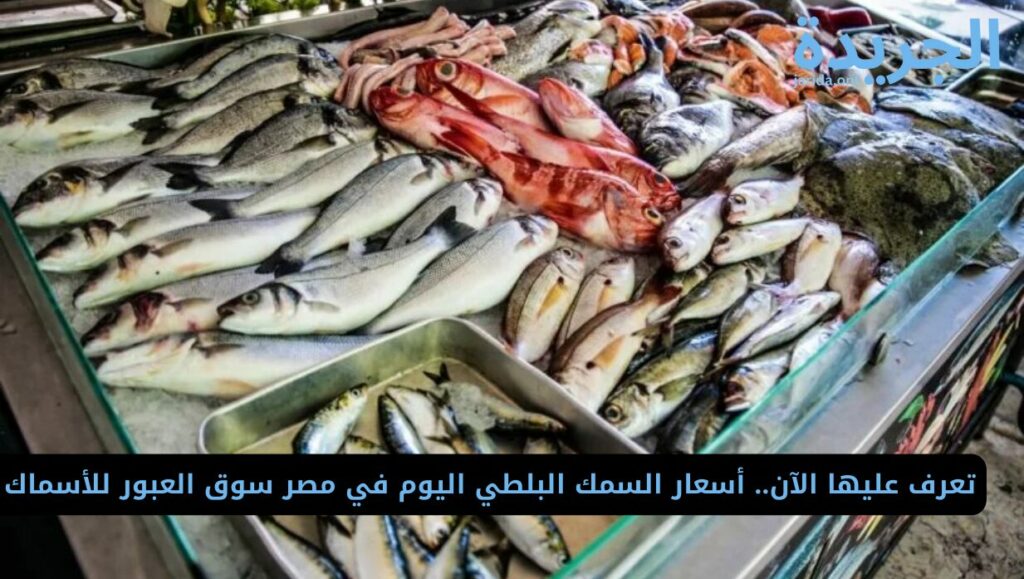 أسعار السمك اليوم في مصر