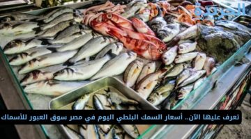 تعرف عليها الآن.. أسعار السمك البلطي اليوم في مصر سوق العبور للأسماك